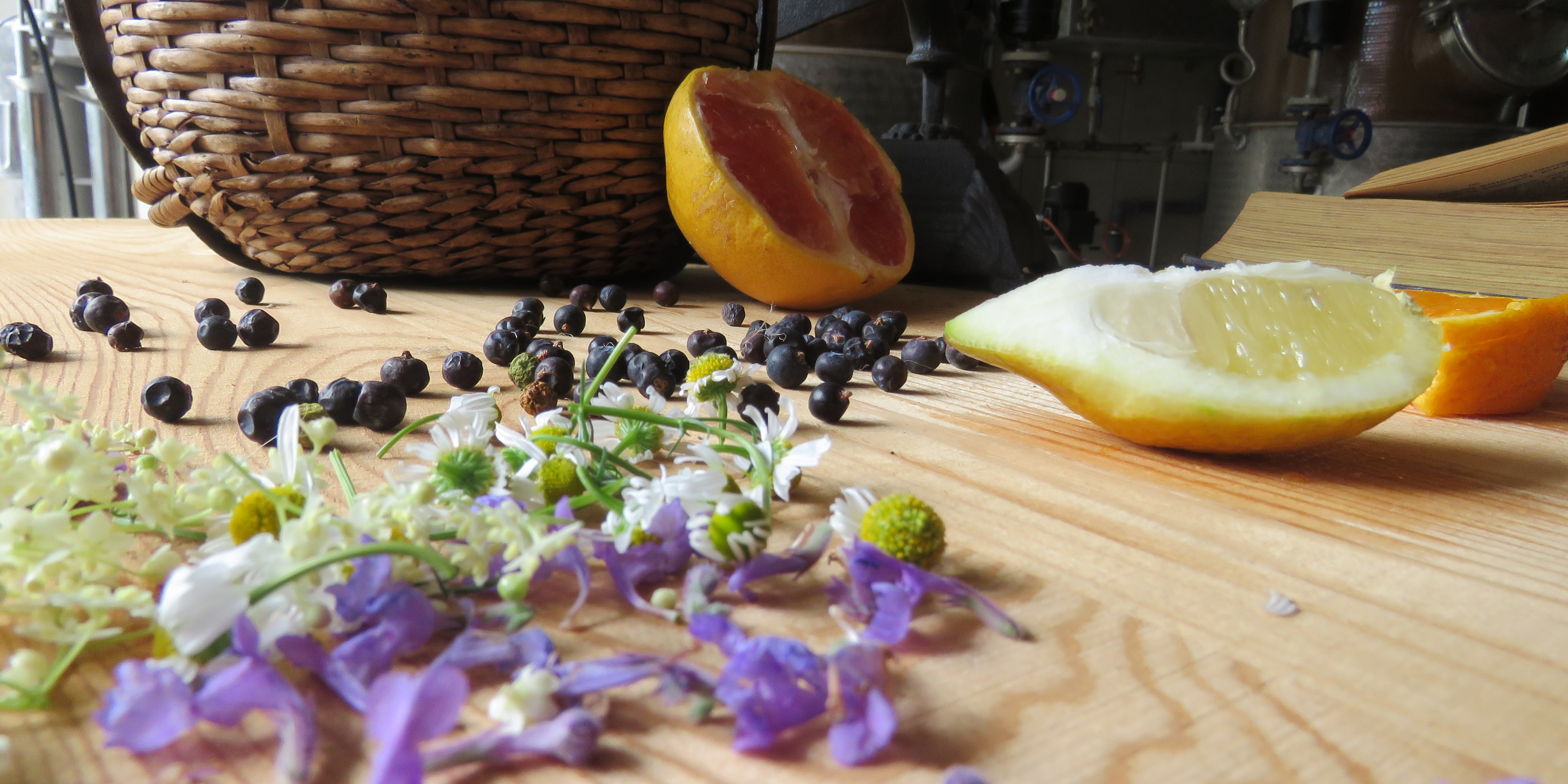 Rahmenprogramm Gin Zutaten